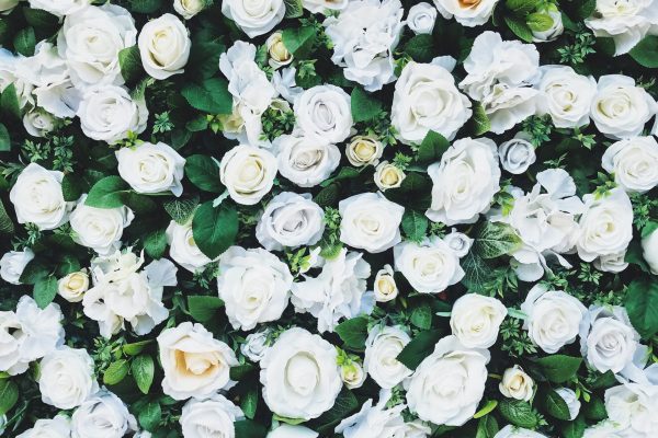 ed-robertson-sqLVUTFtxVs-unsplash